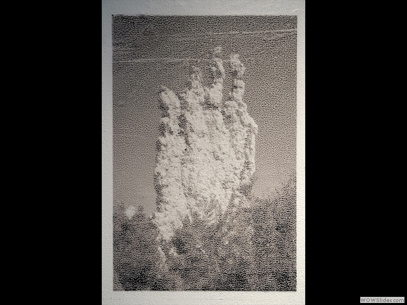 Double-peau, j+ , 2017