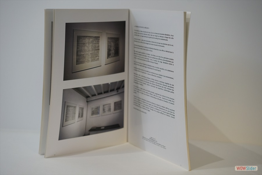 2014-LivreVR-BR-ATraversLesYeuxDuneLibellule-im02