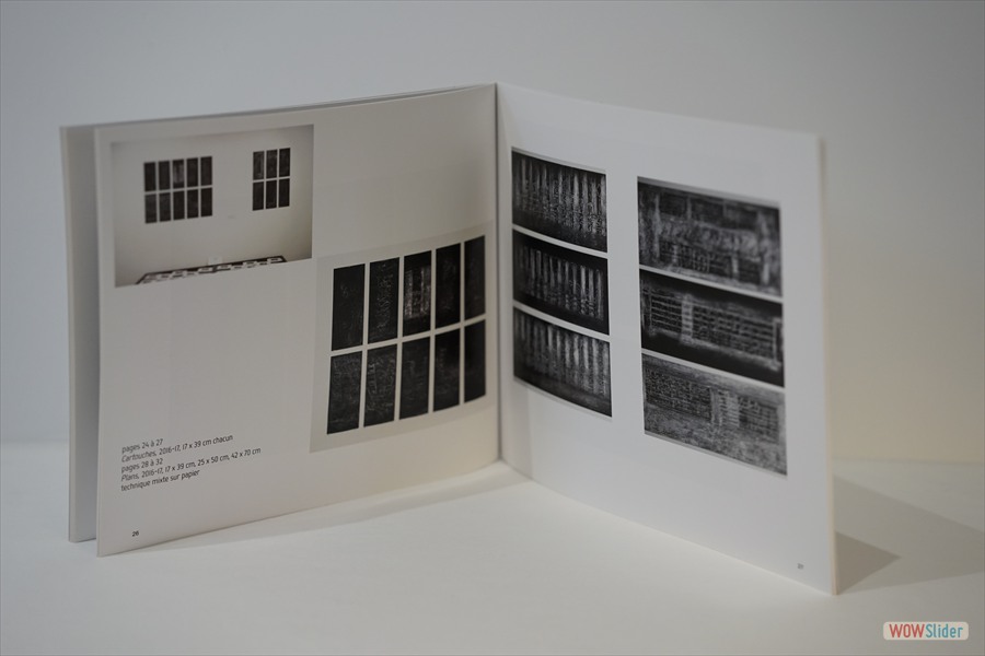 2021-LivreBR-ImagesImprobablesEtOrographies-im05
