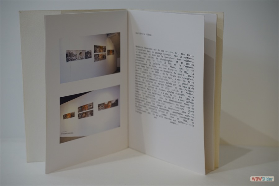 2010-LivreBR-LaMueEtLeCameleon-im02