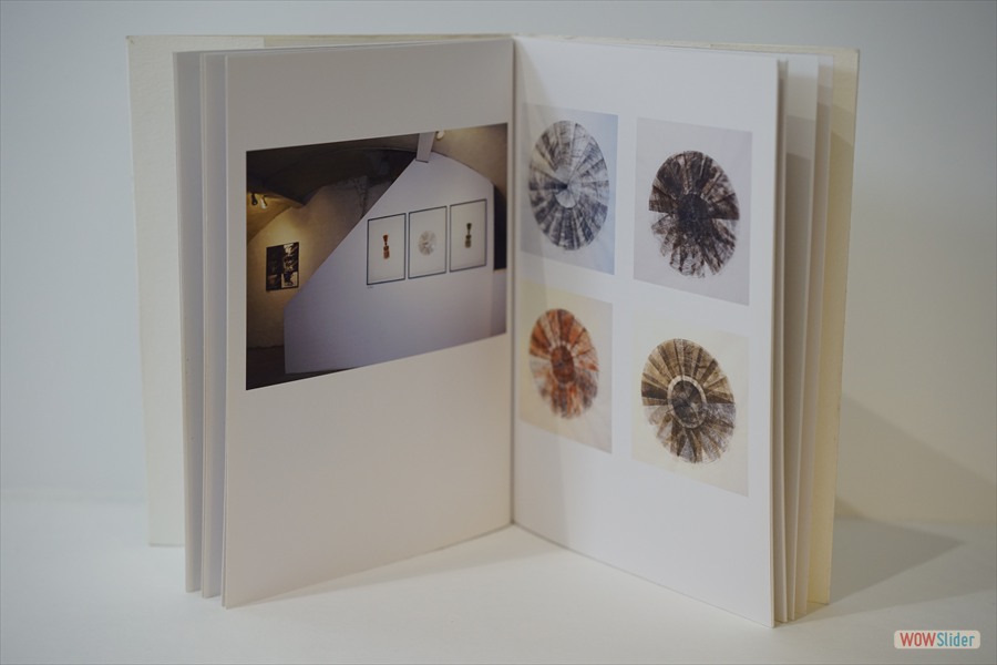 2010-LivreBR-LaMueEtLeCameleon-im03