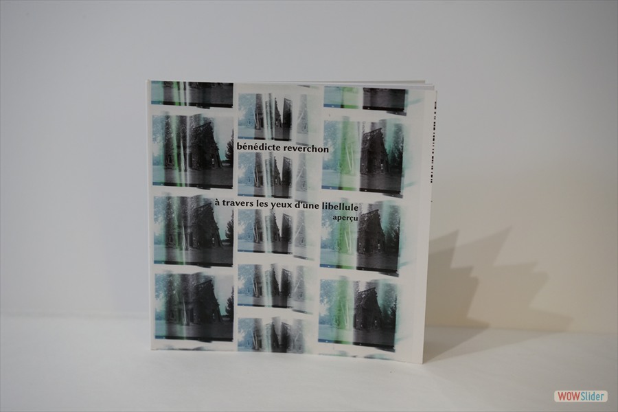 2014-LivreVR-BR-ATraversLesYeuxDuneLibellule-Apercu-couverture