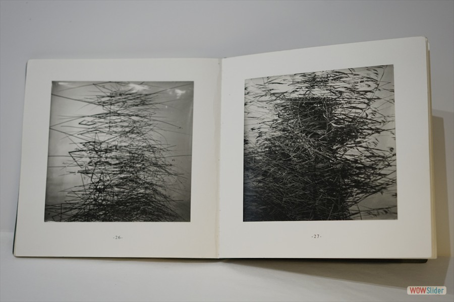 LivreBR-st96-im05