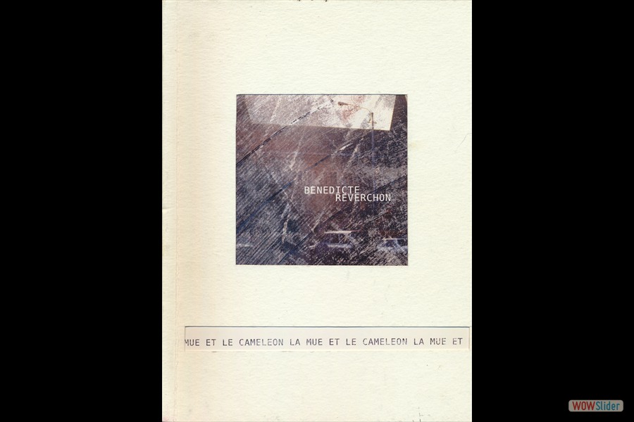 2010-LivreBR-LaMueEtLeCameleon-Scancouverture