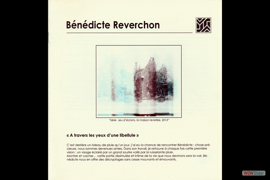 2013-CatalogueVR-BR-ATraversLesYeuxDuneLibellule-Scancouverture