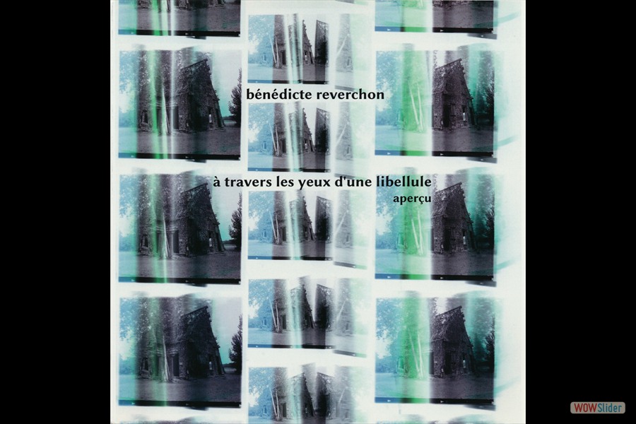 2014-LivreVR-BR-ATraversLesYeuxDuneLibellule-Apercu-Scancouverture