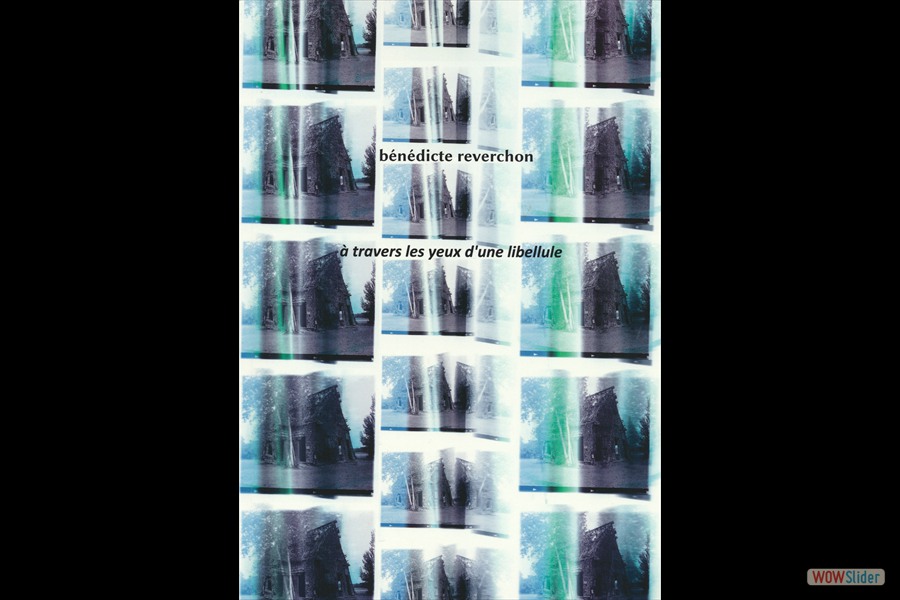 2014-LivreVR-BR-ATraversLesYeuxDuneLibellule-Scan-couverture